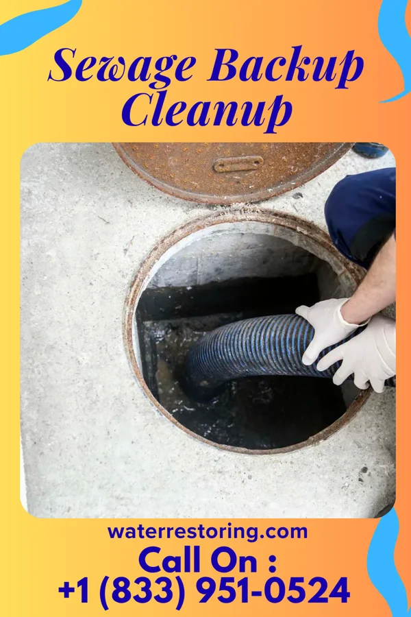 Sewage Backup Cleanup in Dunfermline, IL